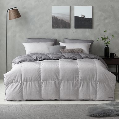 @하운드 의 사진