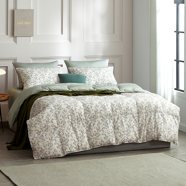 @메리드 의 사진