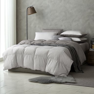 @로우드 의 사진