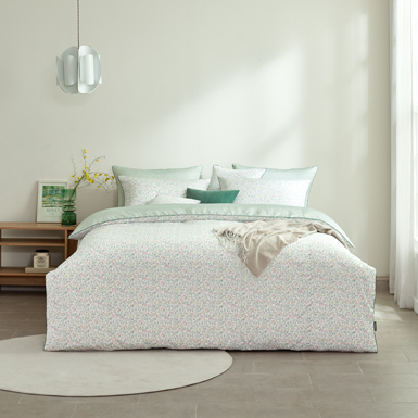 @비비앤 의 사진