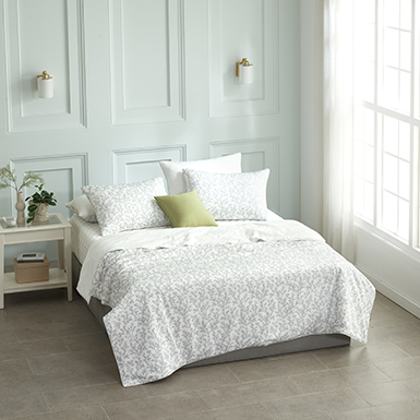 @블리쉬 의 사진