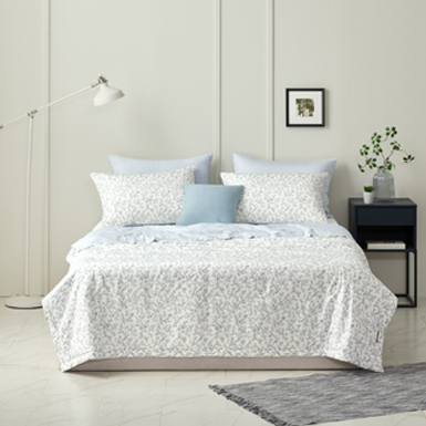 @젤리아 의 사진